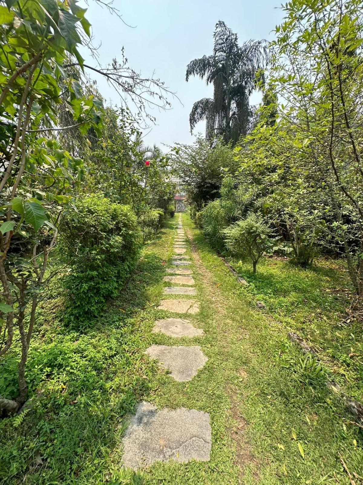 Cherry Garden Pokhara Exteriör bild
